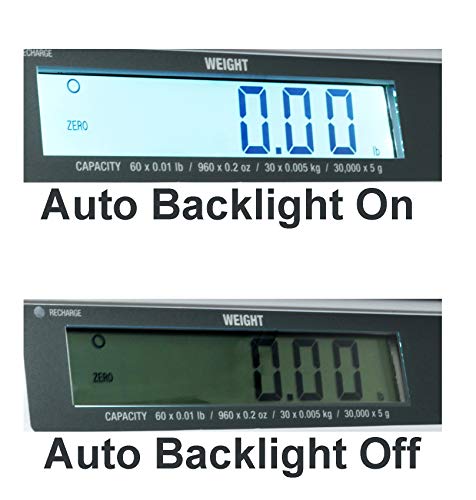 Easy Weigh PX 12 x 0.002 LB Capacity Digital Scale Rechargeable Battery Operated LCD Display Stainless Steel Platter KG Grams Ounces OZ Kitchen Deli Produce Electronic NTEP (PX-12)