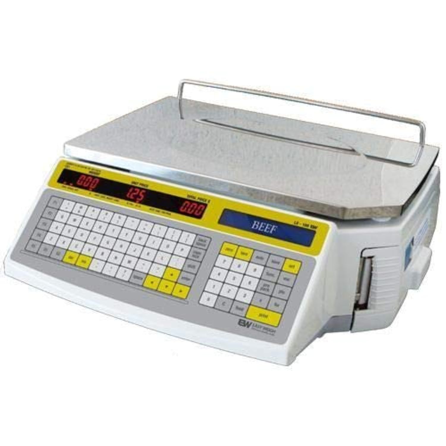 Easy Weigh LS-100 60 LB Dual Range Fast Reliable Price Computing Printing Scale, LED & Alpha Large LCD, NTEP, Heavy Duty, Easy To Program & USE (Standard Display)